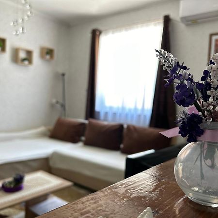 勒温杜拉温德加兹度假屋 Balatonföldvár 外观 照片